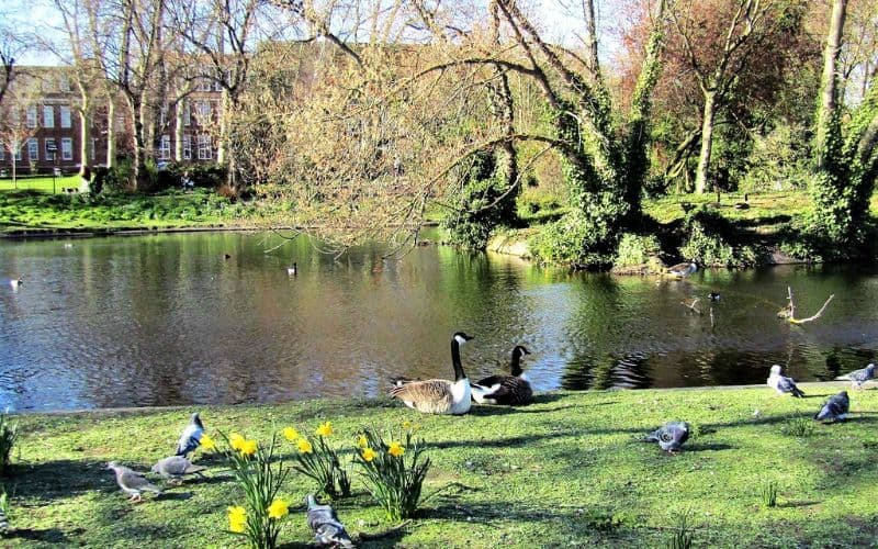 Vonder Wembley - whats going on in the neighbourhood