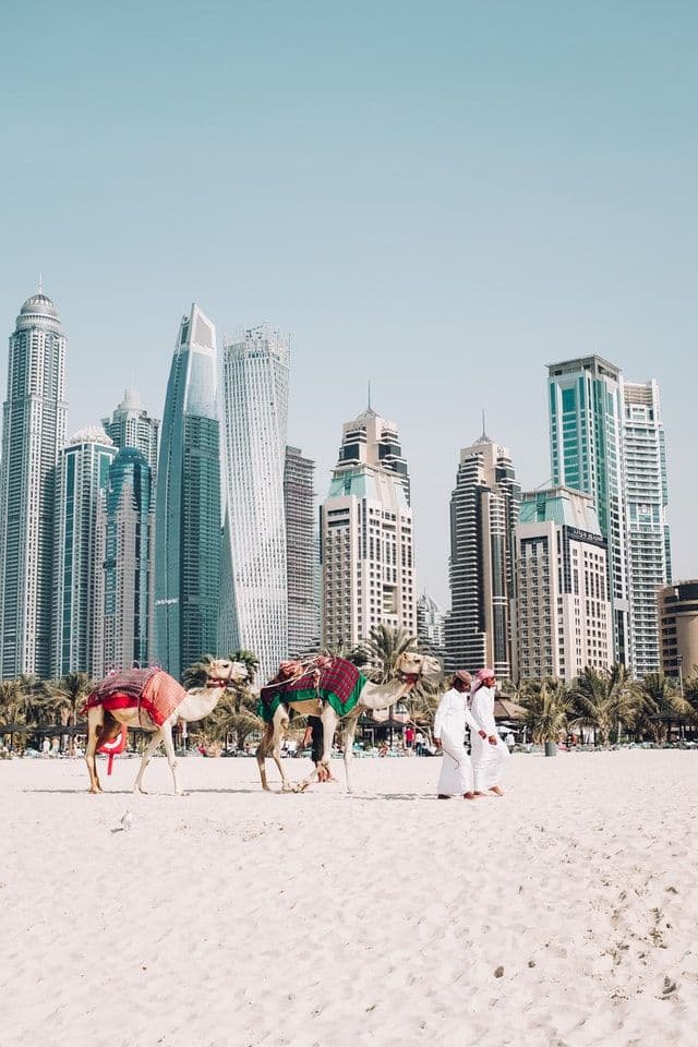 work remotely from dubai